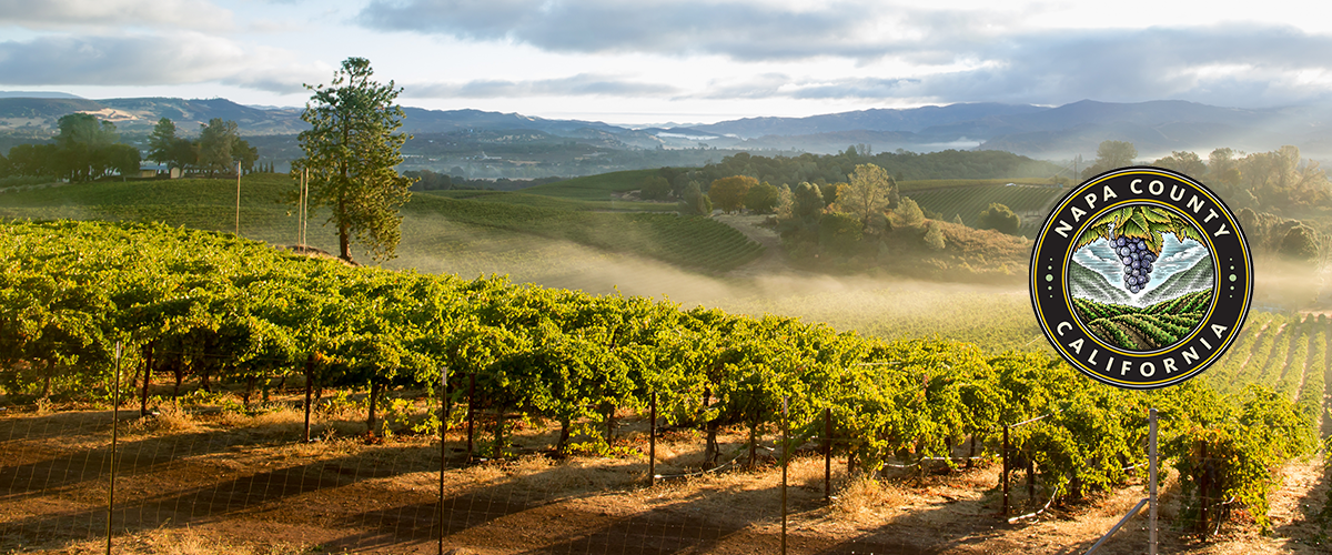 An image of the Napa County Vineyard Landscape, accompanied by Napa County Icon